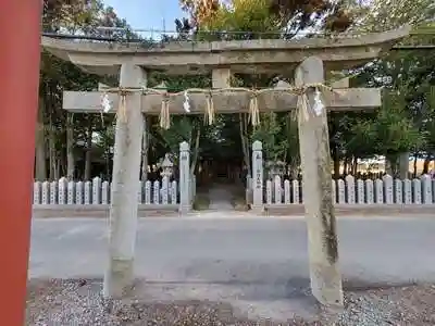 鳴岡稲荷神社の鳥居