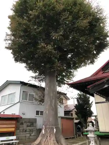 白山神社(青森県)