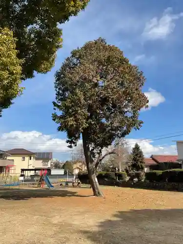 井出神社の庭園