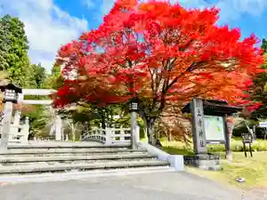 土津神社|こどもと出世の神さまの自然(2021年10月29日(金) 12時53分44秒投稿)