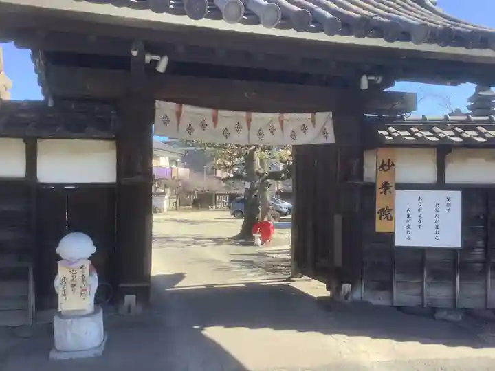 四季桜の寺 妙乗院の山門・神門