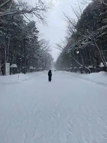 北海道神宮の景色