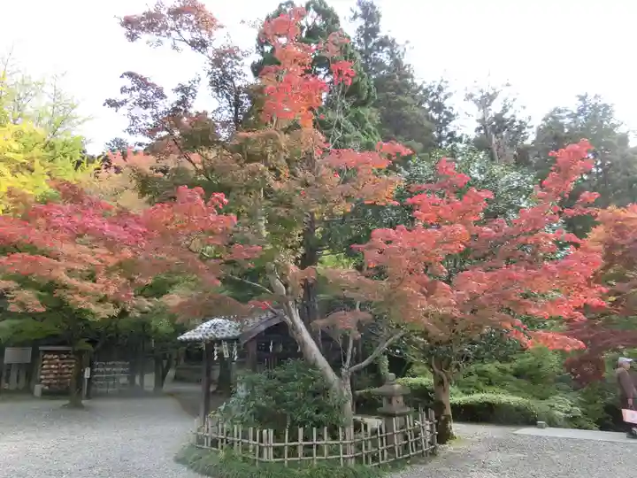 今熊野観音寺の自然