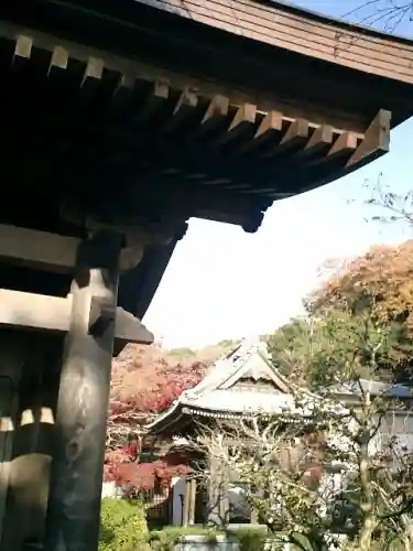 海蔵寺の山門