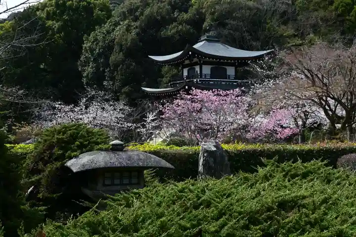 勧修寺(京都府)