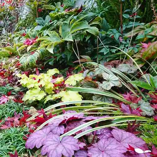 寿量山　速成寺の庭園