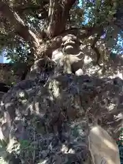 大綱金刀比羅神社(神奈川県)