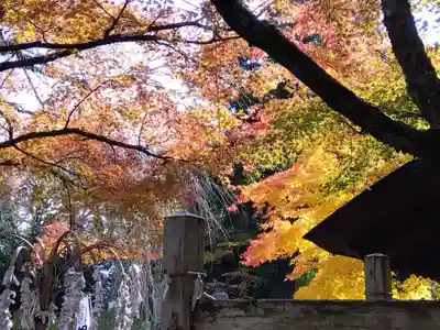 足羽神社(福井県)