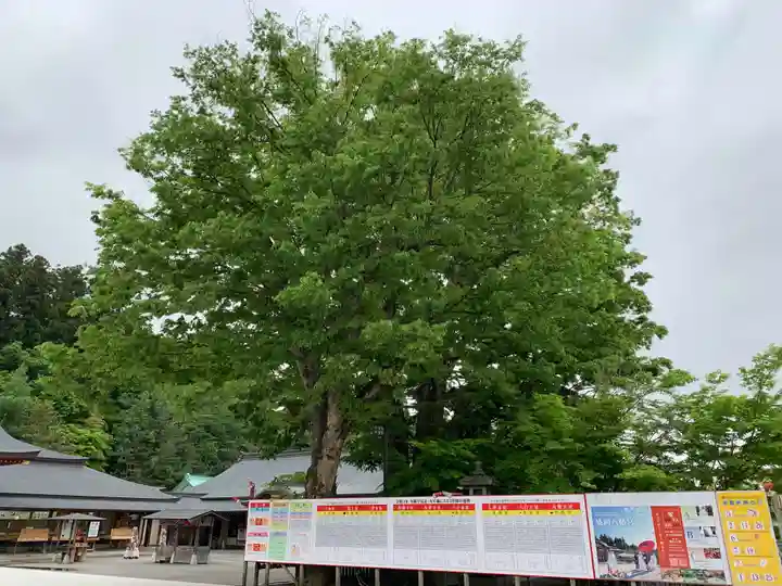 盛岡八幡宮の自然