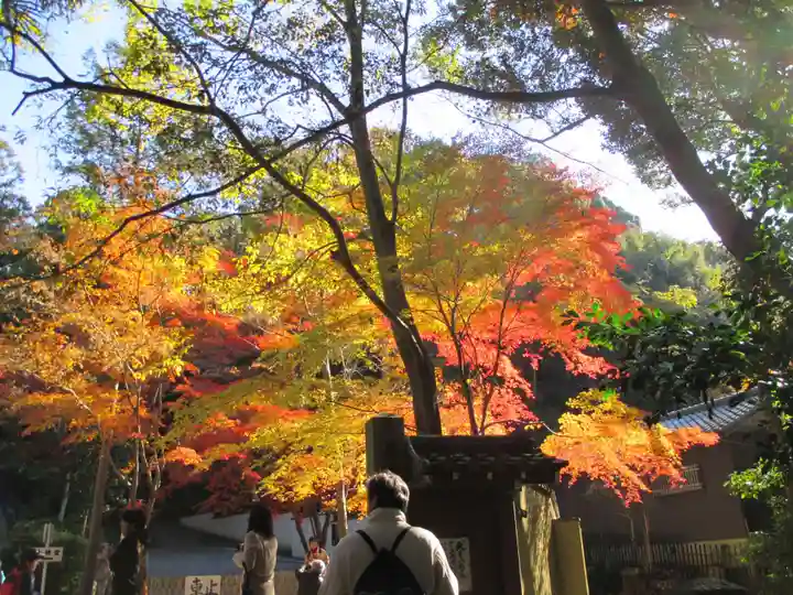 今熊野観音寺(京都府)
