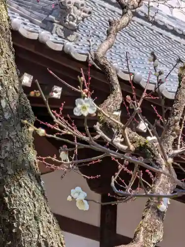 高円寺(東京都)