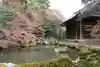 蓮華寺(洛北蓮華寺)の庭園