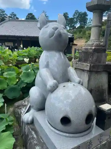 三室戸寺(京都府)