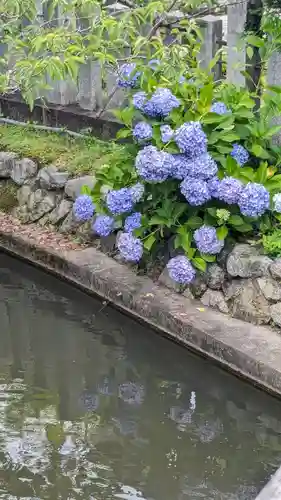 くろ谷 金戒光明寺(京都府)