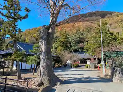 山梨岡神社のその他建物