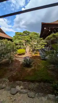 大覚寺(京都府)
