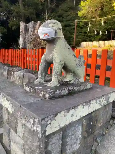 鶴岡八幡宮の狛犬