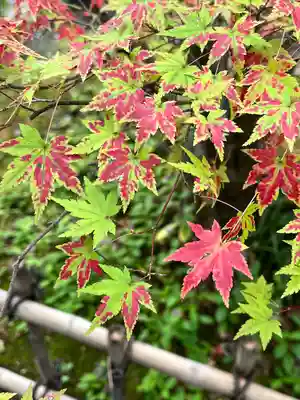 円通院(宮城県)