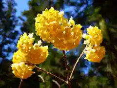 焼森山雷神神社の自然