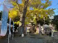 札幌諏訪神社の庭園