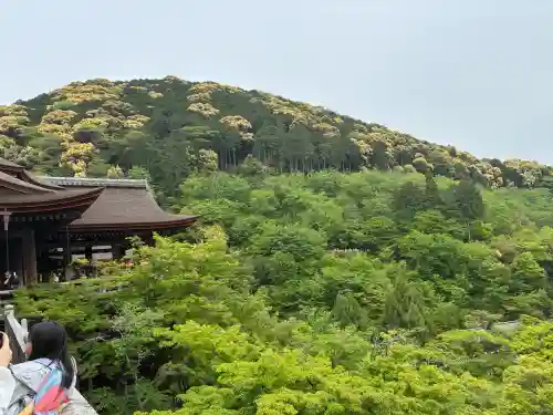 清水寺の{uncategorized: "未分類", other: "その他", undefined: "問題あり", building: "その他建物", grave: "お墓", sacred_gate: "鳥居", guardian: "狛犬", statue: "像", buddha: "仏像", history: "歴史", nature: "自然", garden: "庭園", animal: "動物", pagoda: "塔", temizu: "手水舎", mountain_gate: "山門・神門", sanctuary: "本殿・本堂", subordinate: "末社・摂社", art: "芸術", scenery: "景色", jizo: "地蔵", ema: "絵馬", goshuin: "御朱印", omikuji: "おみくじ", items: "授与品その他", amulet: "お守り", goshuincho: "御朱印帳", eats: "食事", festival: "お祭り", votive_dance: "神楽", shichigosan: "七五三参", wedding: "結婚式", experience: "体験その他", initially: "初詣", around: "周辺", anti_infection: "感染症対策"}