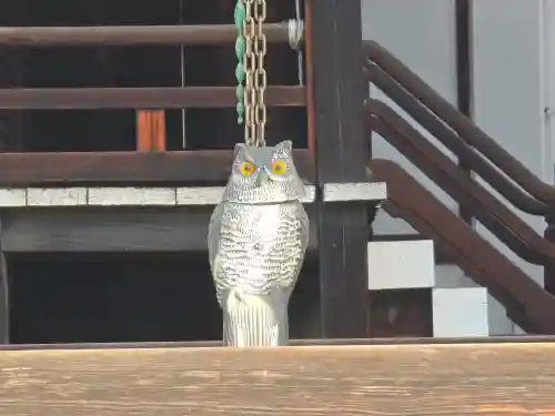 鶴満寺(大阪府)