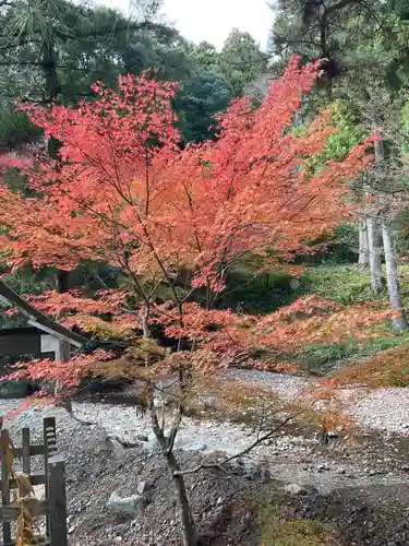 大洞院(静岡県)
