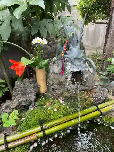 東光寺別院桜ヶ池不動院の{uncategorized: "未分類", other: "その他", undefined: "問題あり", building: "その他建物", grave: "お墓", sacred_gate: "鳥居", guardian: "狛犬", statue: "像", buddha: "仏像", history: "歴史", nature: "自然", garden: "庭園", animal: "動物", pagoda: "塔", temizu: "手水舎", mountain_gate: "山門・神門", sanctuary: "本殿・本堂", subordinate: "末社・摂社", art: "芸術", scenery: "景色", jizo: "地蔵", ema: "絵馬", goshuin: "御朱印", omikuji: "おみくじ", items: "授与品その他", amulet: "お守り", goshuincho: "御朱印帳", eats: "食事", festival: "お祭り", votive_dance: "神楽", shichigosan: "七五三参", wedding: "結婚式", experience: "体験その他", initially: "初詣", around: "周辺", anti_infection: "感染症対策"}