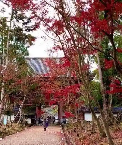 醍醐寺の山門