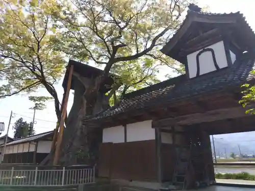 専福寺(福井県)