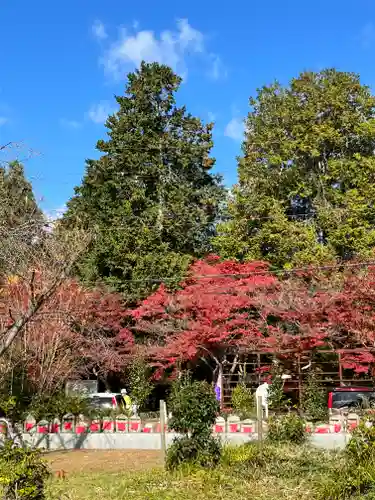 安国寺(滋賀県)