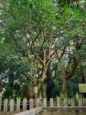 医王寺(福島県)