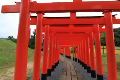 高屋敷稲荷神社の鳥居