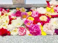 潮音寺の手水舎