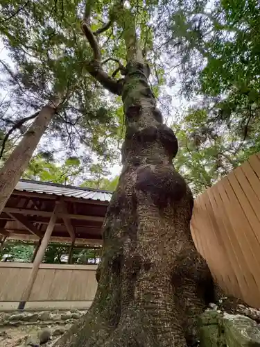 船江上社(三重県)