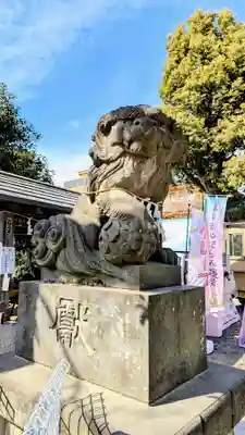 鳩ヶ谷氷川神社の狛犬