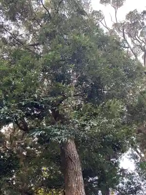 新山神社の自然