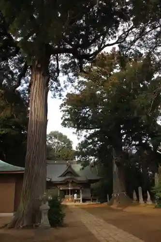 松山神社(千葉県)