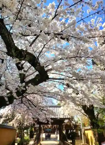 新井薬師（梅照院）(東京都)