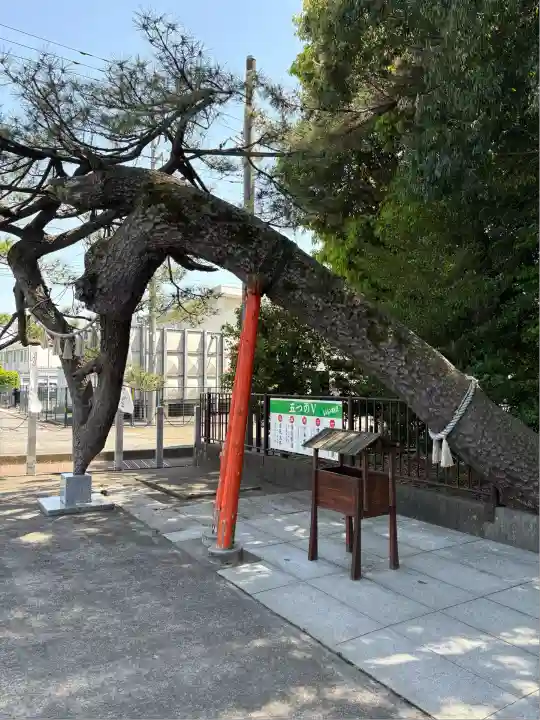 玉村八幡宮(群馬県)