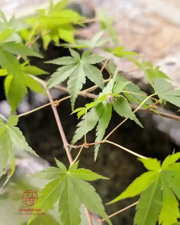 立志神社(滋賀県)