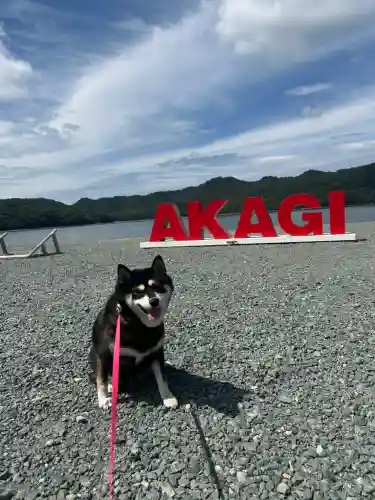赤城神社の{uncategorized: "未分類", other: "その他", undefined: "問題あり", building: "その他建物", grave: "お墓", sacred_gate: "鳥居", guardian: "狛犬", statue: "像", buddha: "仏像", history: "歴史", nature: "自然", garden: "庭園", animal: "動物", pagoda: "塔", temizu: "手水舎", mountain_gate: "山門・神門", sanctuary: "本殿・本堂", subordinate: "末社・摂社", art: "芸術", scenery: "景色", jizo: "地蔵", ema: "絵馬", goshuin: "御朱印", omikuji: "おみくじ", items: "授与品その他", amulet: "お守り", goshuincho: "御朱印帳", eats: "食事", festival: "お祭り", votive_dance: "神楽", shichigosan: "七五三参", wedding: "結婚式", experience: "体験その他", initially: "初詣", around: "周辺", anti_infection: "感染症対策"}