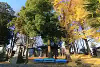 熊野福藏神社の景色