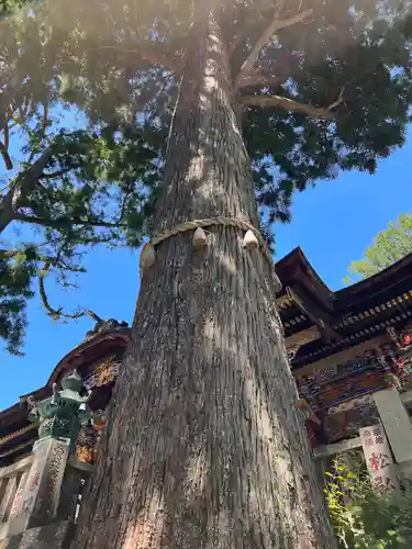 三峯神社の自然