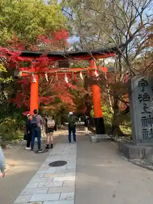宇治上神社の鳥居