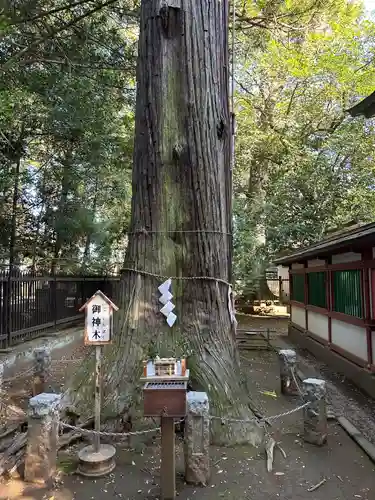 一言主神社(茨城県)