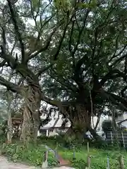 野島神社(宮崎県)