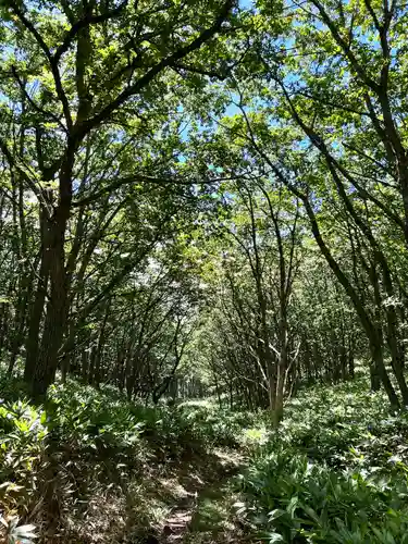 山家神社奥宮の自然