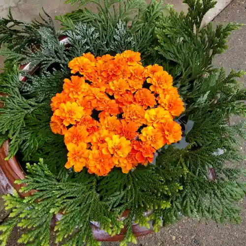 七重浜海津見神社(北海道)