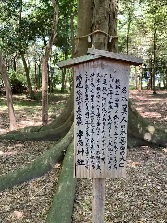 豊満神社の自然